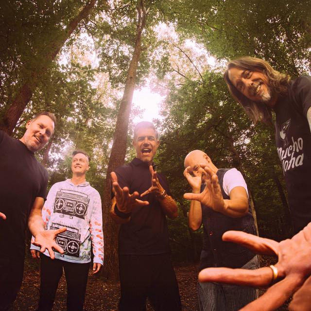 311 and Dirty Heads Toronto