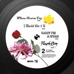 Endorphinmachine - Prince Tribute Band