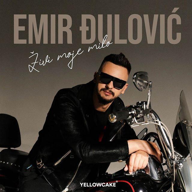Emir Djulovic St. Louis